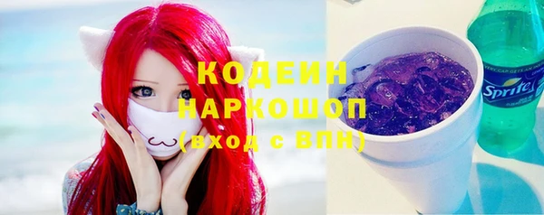 ешки Алзамай