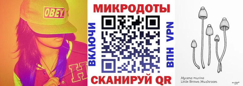 Псилоцибиновые грибы мицелий закладка Архангельск
